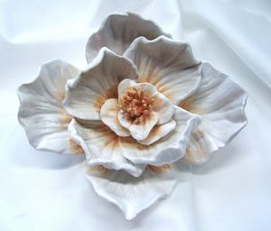 Carolyn Carlton